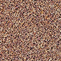 San Francisco Bay Brand Brine Shrimp Eggs Live Fish Food 1ea/6 g