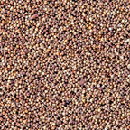 San Francisco Bay Brand Brine Shrimp Eggs Live Fish Food 1ea/6 g