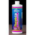 CaribSea PurpleUp Coralline Algae Accelerator 1ea/8 floz.