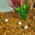 Aqueon AquaPacs Water Clarifier 6ea/12pk