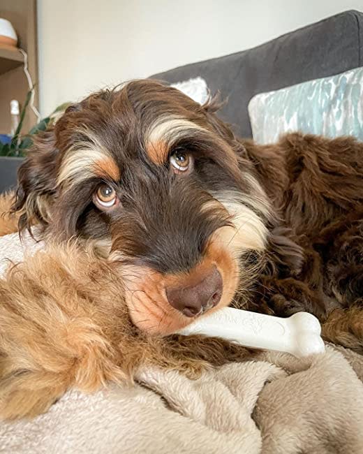 Nylabone Power Chew Dog Toy Chicken, 1ea/Large/Giant  Up To 50 Lbs. 1 ct