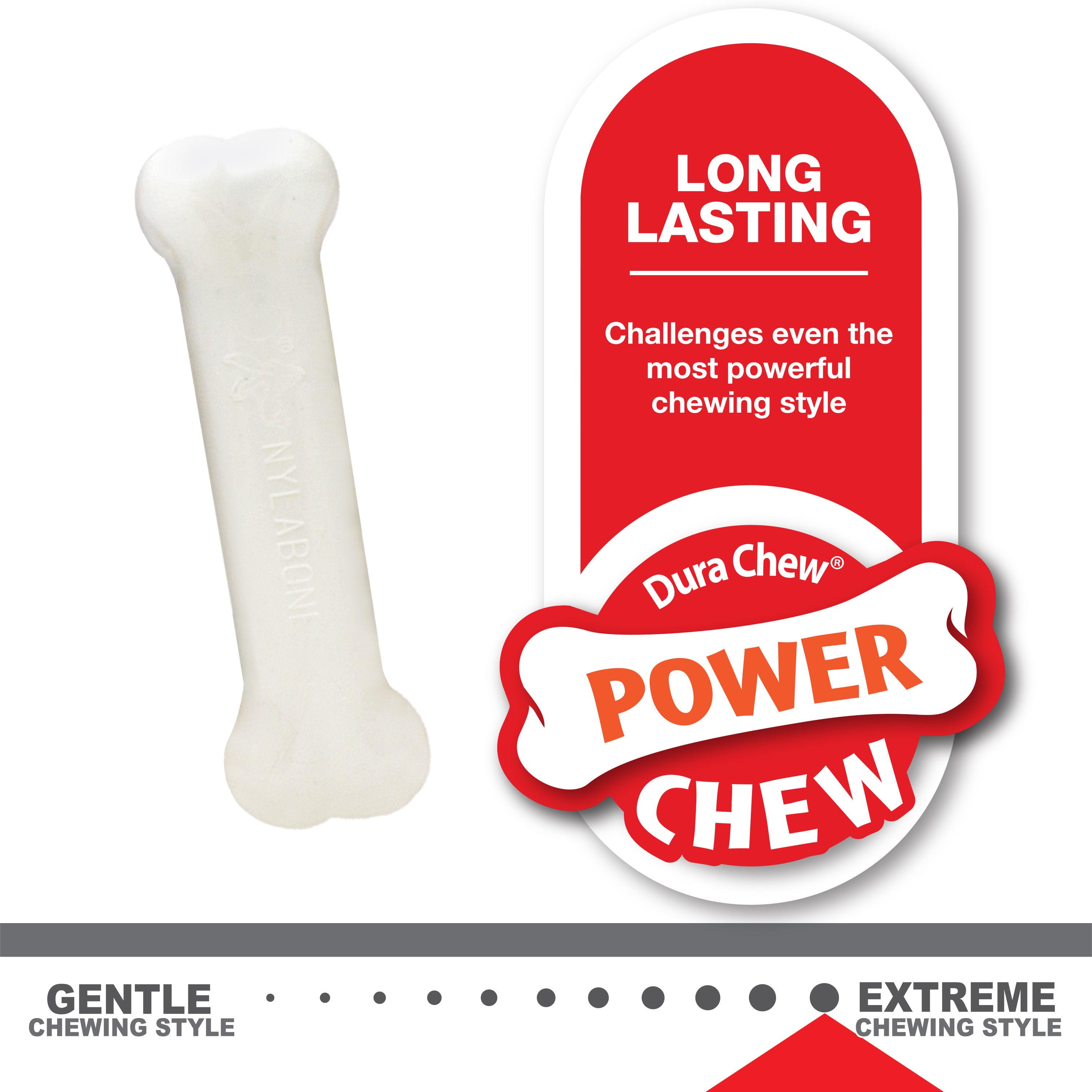 Nylabone Puppy Starter Kit Dog Chew Toys  Treat Chicken  Bacon, 1ea/SMall/Regular  Up To 25 Ibs. 3 ct