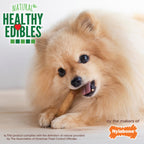Nylabone Healthy Edibles AllNatural Long Lasting Chew Treats Bacon, 1ea/XS/Petite  Up To 15 Lbs. 2 ct