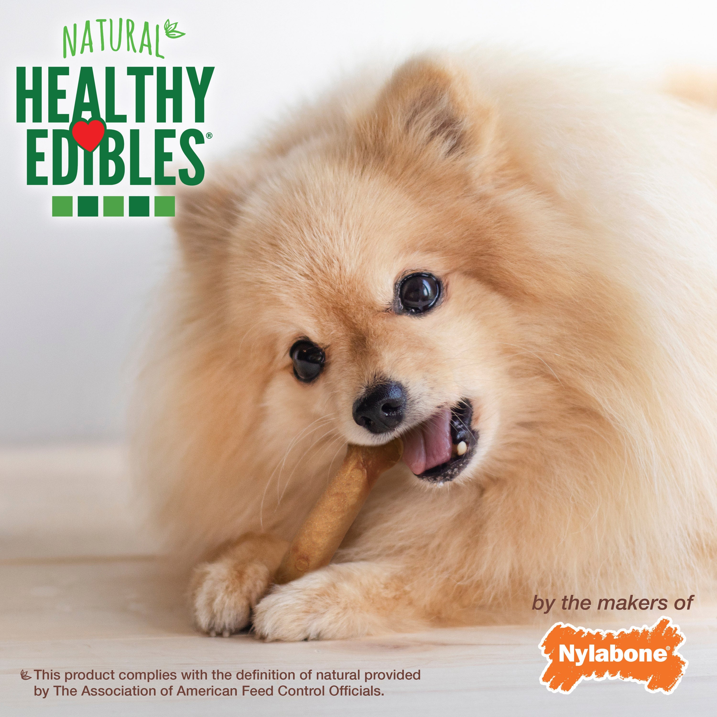 Nylabone Healthy Edibles AllNatural Long Lasting Chew Treats Bacon, 1ea/XS/Petite  Up To 15 Lbs. 2 ct
