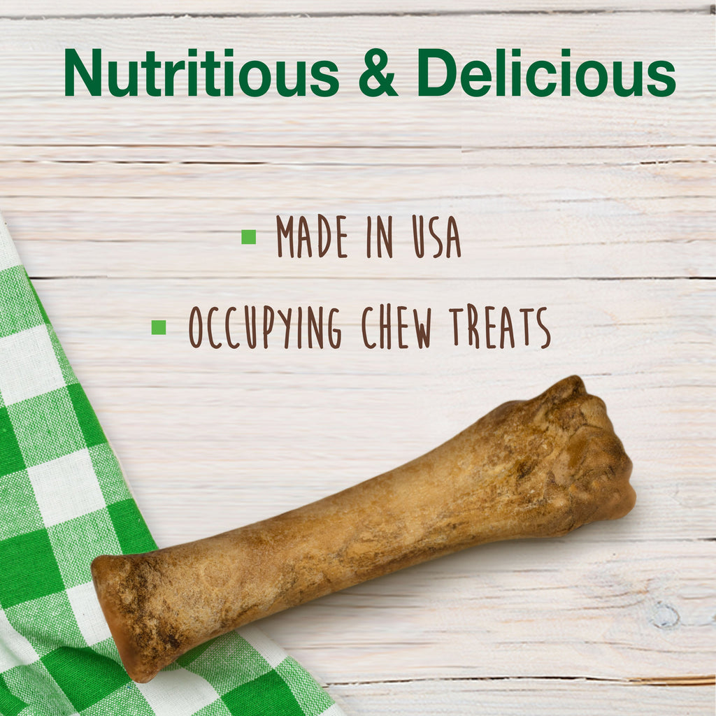 Nylabone Healthy Edibles AllNatural Long Lasting Chew Treats Chicken, 1ea/XL/Souper  50 Lbs. 1 ct