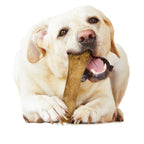 Nylabone Healthy Edibles AllNatural Long Lasting Chew Treats Chicken, 1ea/XL/Souper  50 Lbs. 1 ct