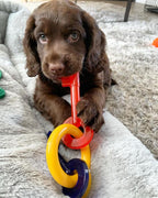 Nylabone Just for Puppies Teething Chew Toy Keys Bacon, 1ea/Medium/Wolf  Up To 35 Lbs. 1 ct