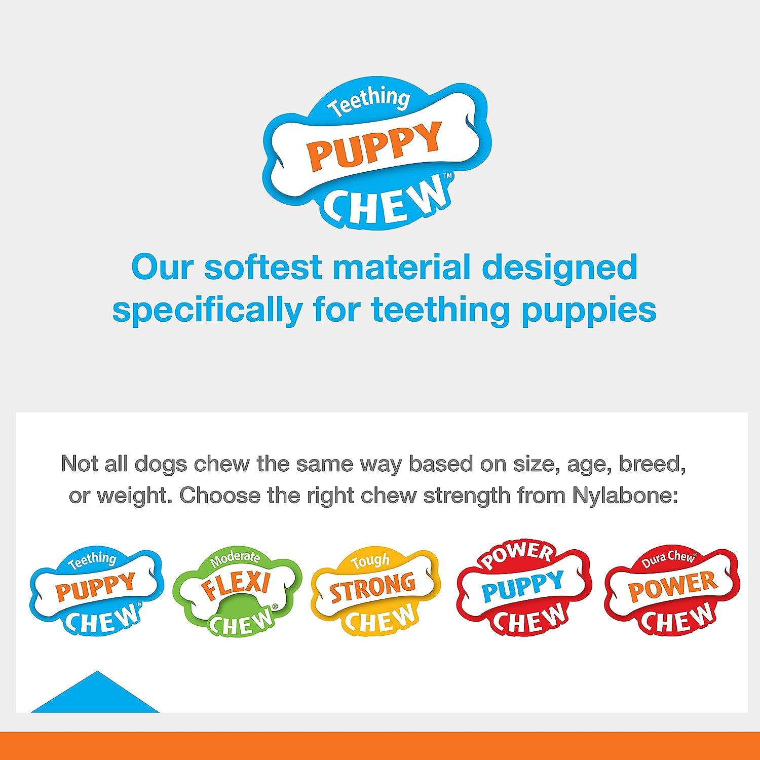 Nylabone Just for Puppies Teething Chew Toy Keys Bacon, 1ea/Medium/Wolf  Up To 35 Lbs. 1 ct