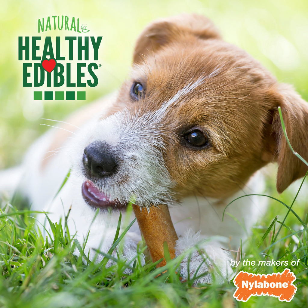 Nylabone Healthy Edibles AllNatural Long Lasting Chew Treats Variety Pack 3 count, 1ea/Petite  Up To 15 lb