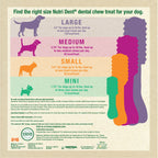 Nylabone Nutri Dent SIMPLE Natural Dental Fresh Breath Flavored Chew Treats 1ea/SMall, 12 ct