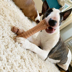 Nylabone Power Chew Dog Toy Bacon, 1ea/XL/Souper  50 Lbs. 1 ct