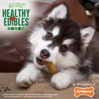 Nylabone Healthy Edibles AllNatural Long Lasting Puppy Chew Treats Lamb  Apple, 1ea/SMall/Regular  Up To 25 Ibs. 3 ct