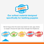 Nylabone Puppy Ring Bone Teething Toy for Puppies Ring Bone Chicken 1ea/XS/Petite - Up To 15 lb