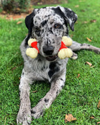 Nylabone Power Chew Double Bone Bacon Dog Chew Toy Bacon, 1ea/XL/Souper  50 Lbs. 1 ct