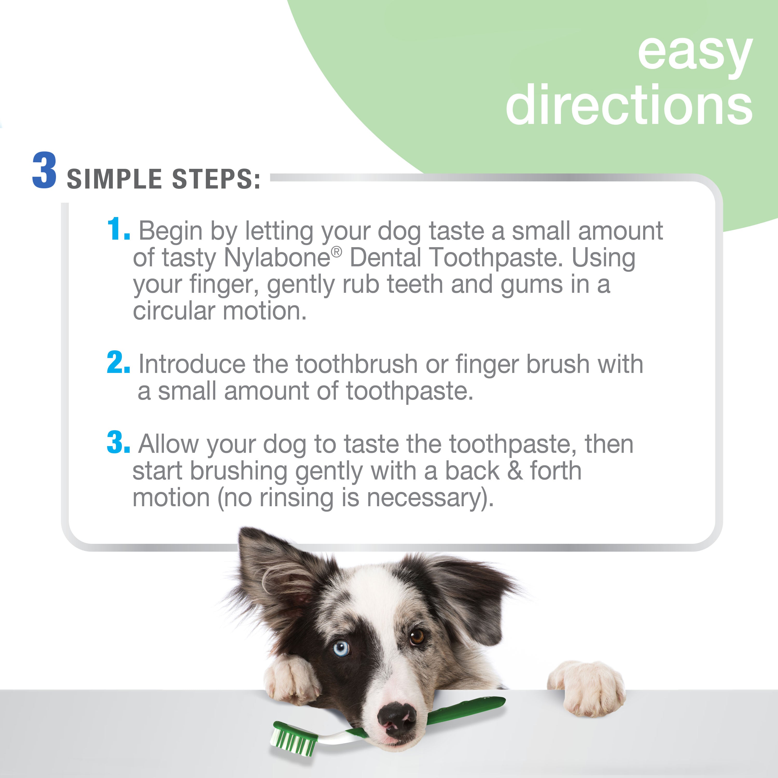 Nylabone Advanced Oral Care Natural Dog Dental Kit Peanut Butter, 1ea/2.5 oz 3 ct