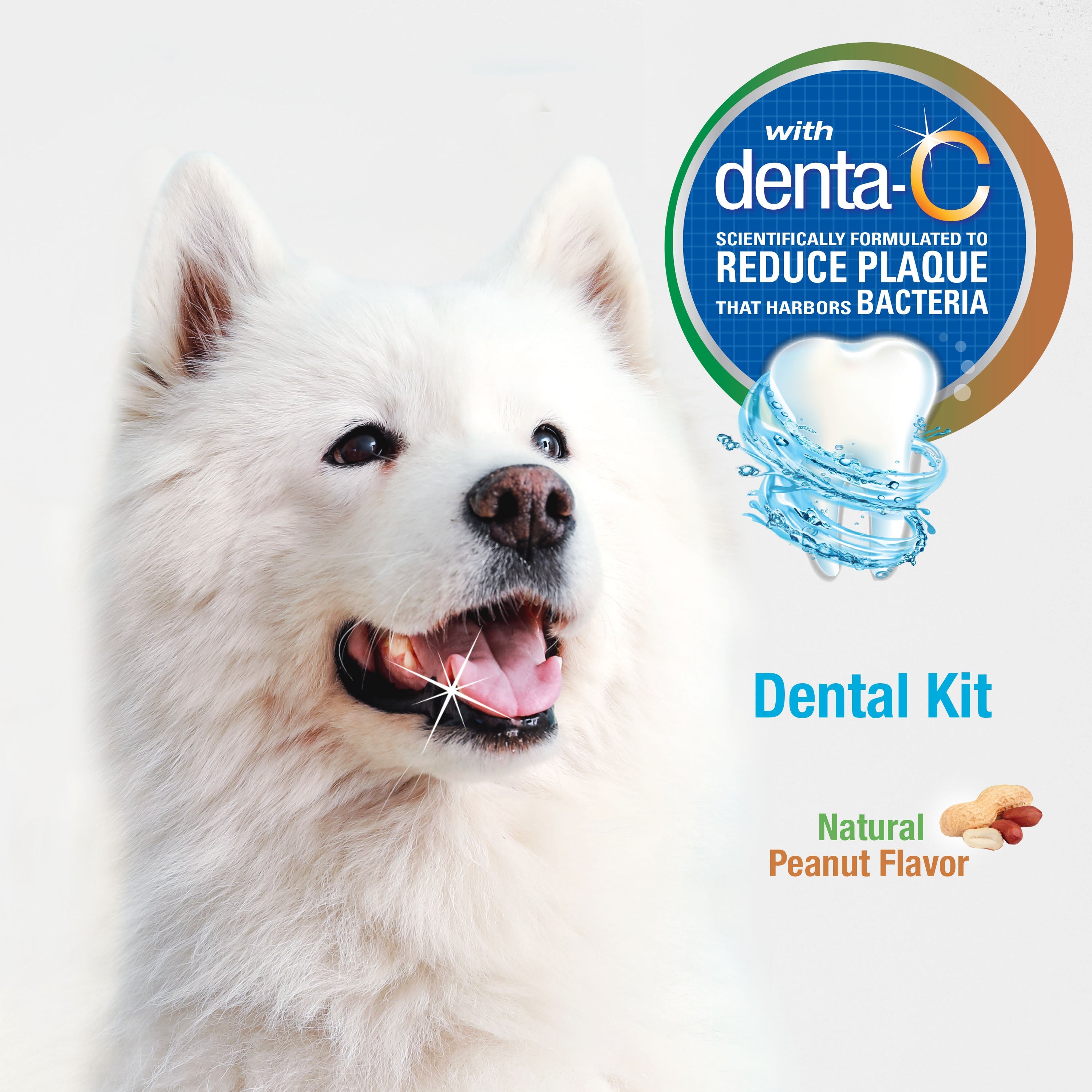 Nylabone Advanced Oral Care Natural Dog Dental Kit Peanut Butter, 1ea/2.5 oz 3 ct