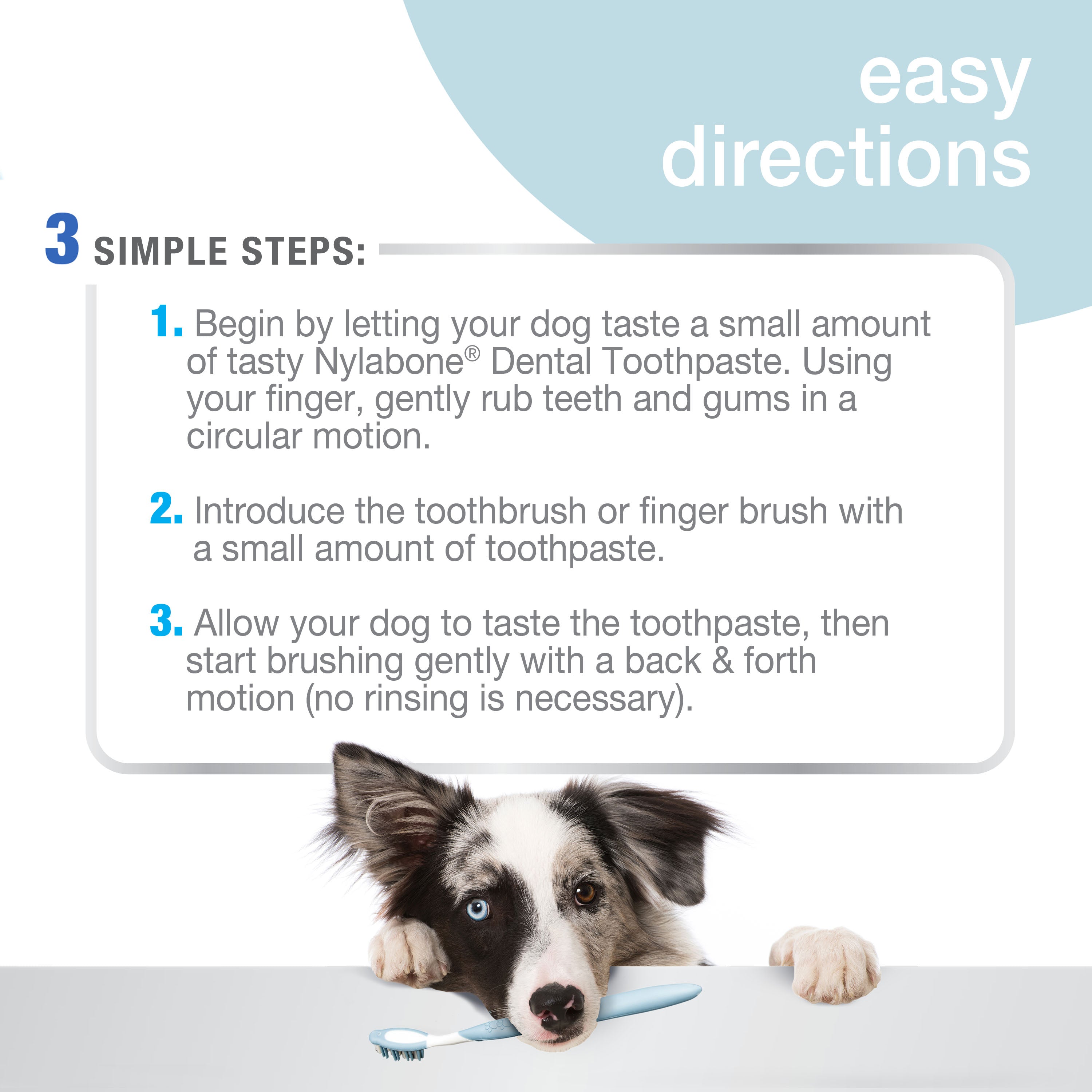 Nylabone Advanced Oral Care Dog Dental Kit Original, 1ea/2.5 oz 3 ct