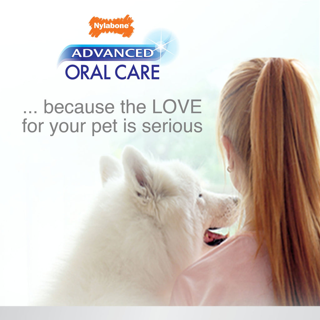 Nylabone Advanced Oral Care Tartar Control Dog Toothpaste Original, 1ea/2.5 oz 1 ct