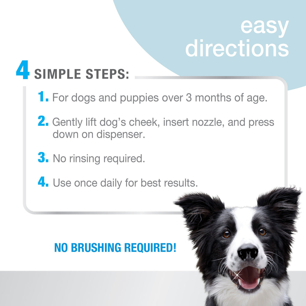 Nylabone Advanced Oral Care Foaming Tartar Remover Original, 1ea/4 oz 1 ct