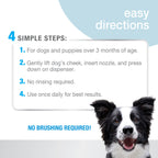 Nylabone Advanced Oral Care Foaming Tartar Remover Original, 1ea/4 oz 1 ct