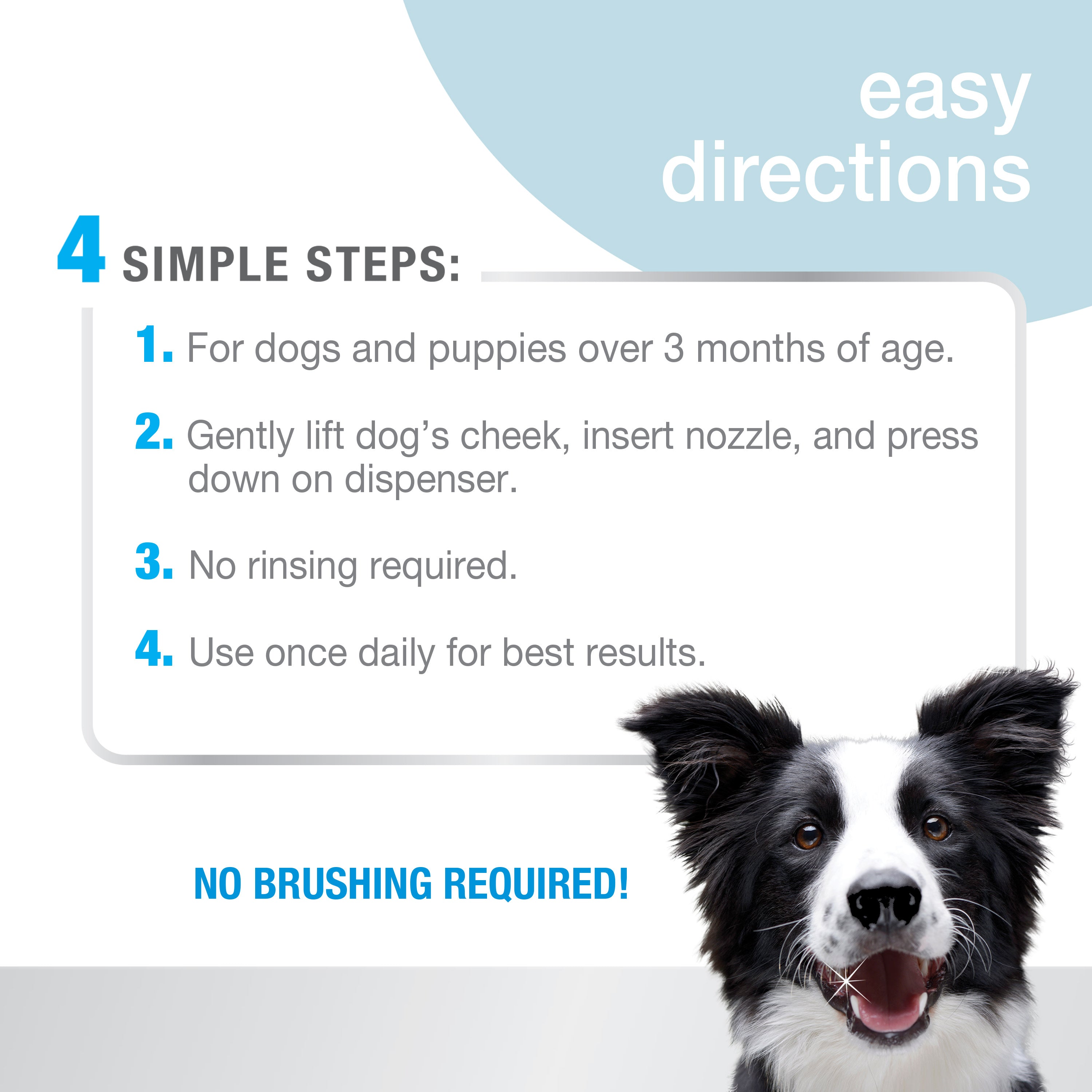 Nylabone Advanced Oral Care Foaming Tartar Remover Original, 1ea/4 oz 1 ct