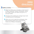 Nylabone Advanced Oral Care Cat Dental Kit Original, 1ea/2.5 oz 3 ct