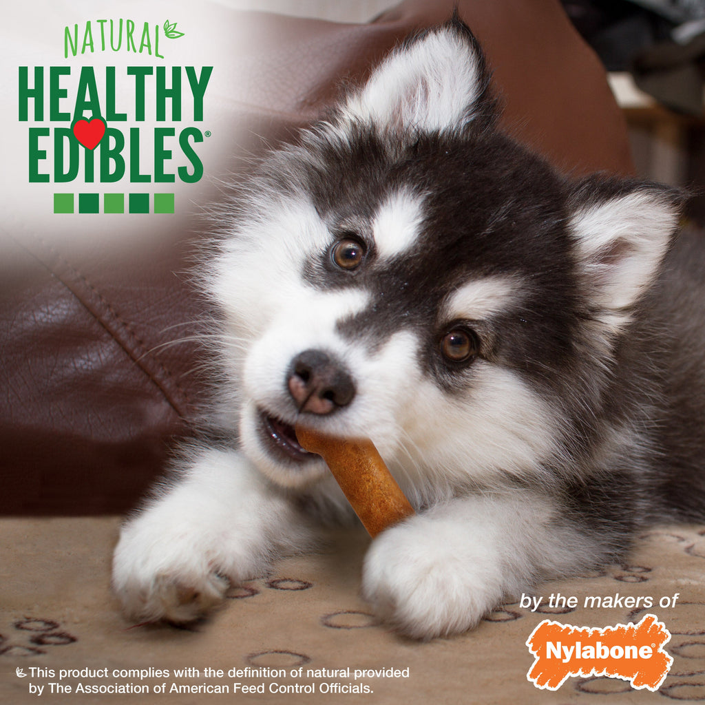 Nylabone Healthy Edibles AllNatural Long Lasting Puppy Chew Treats Turkey  Sweet Potato, 1ea/XS/Petite  Up To 15 Lbs. 8 ct