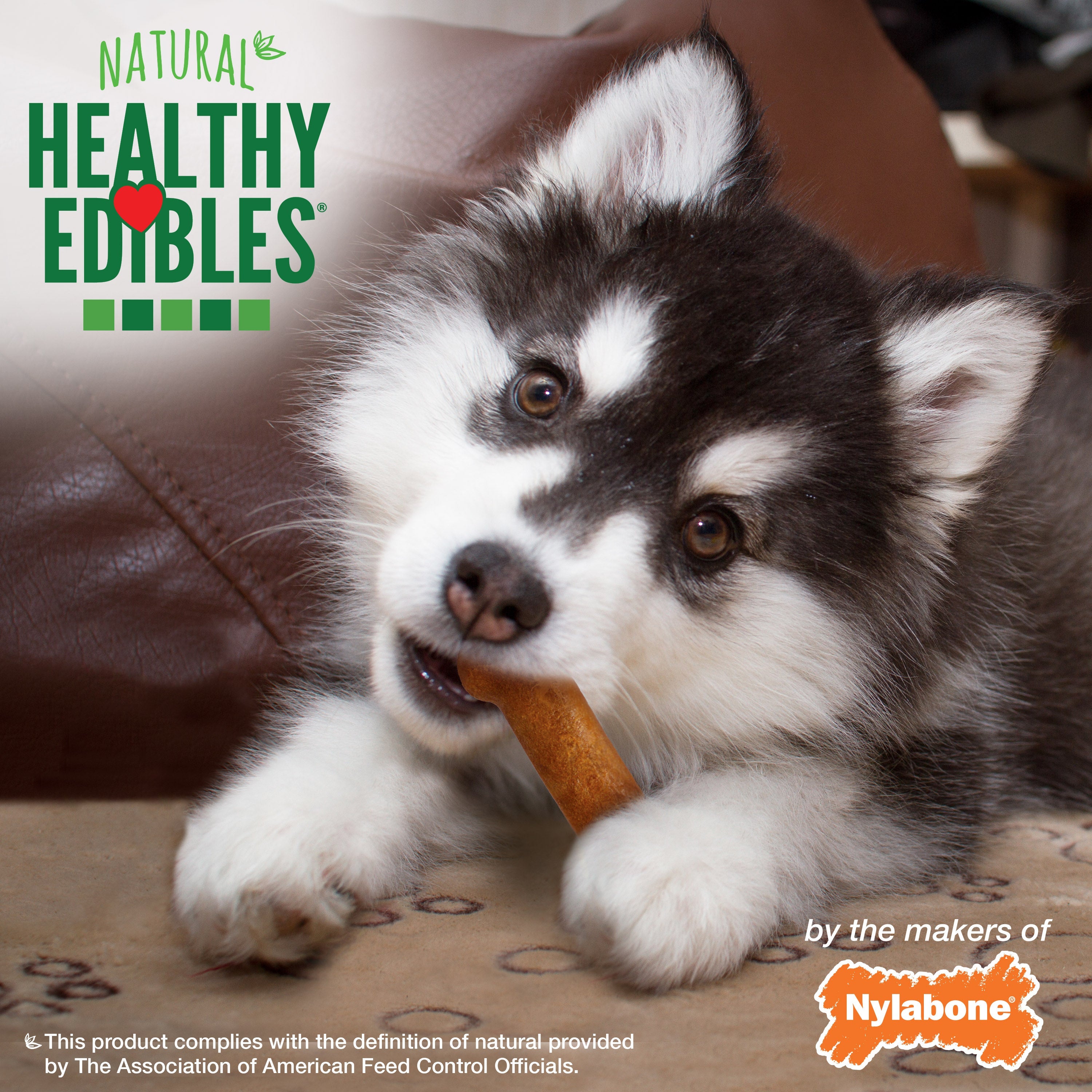 Nylabone Healthy Edibles AllNatural Long Lasting Puppy Chew Treats Turkey  Sweet Potato, 1ea/XS/Petite  Up To 15 Lbs. 8 ct