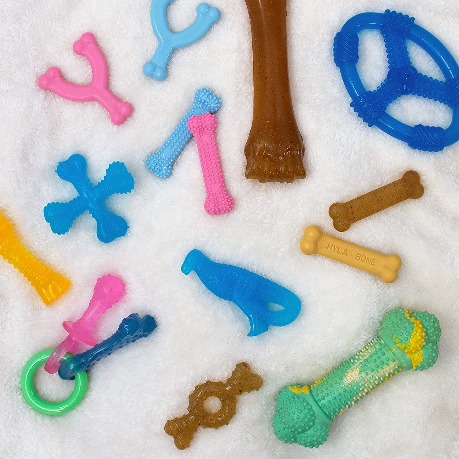 Nylabone Just for Puppies Teething Chew Ring Bone Chicken, 1ea/Medium/Wolf  Up To 35 Lbs. 2 ct