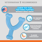 Nylabone Puppy Chew Toy Wishbone Chicken, Blue, 1ea/XS/Petite  Up To 15 Lbs. 1 ct