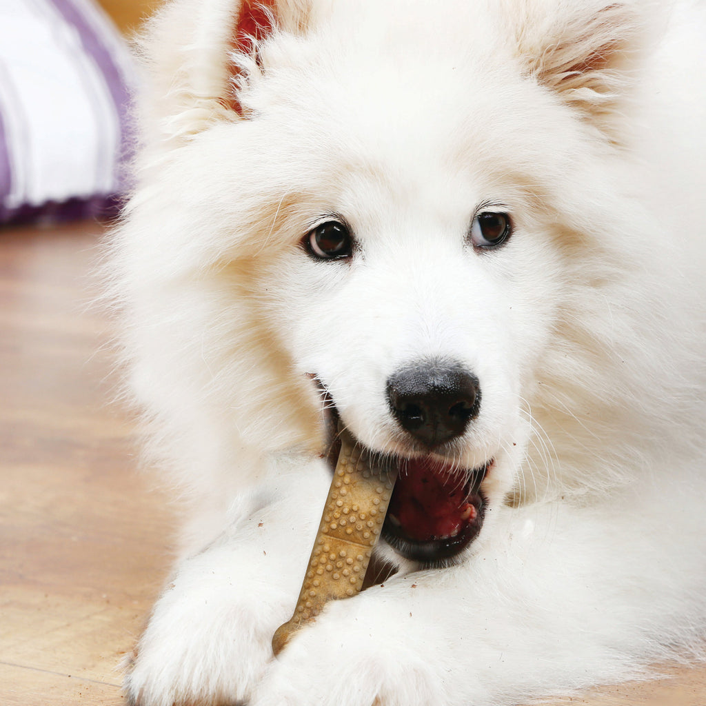 Nylabone Natural Nubz Chicken Dog Treats Chicken, 1ea/Large  30 Lbs. 12 ct