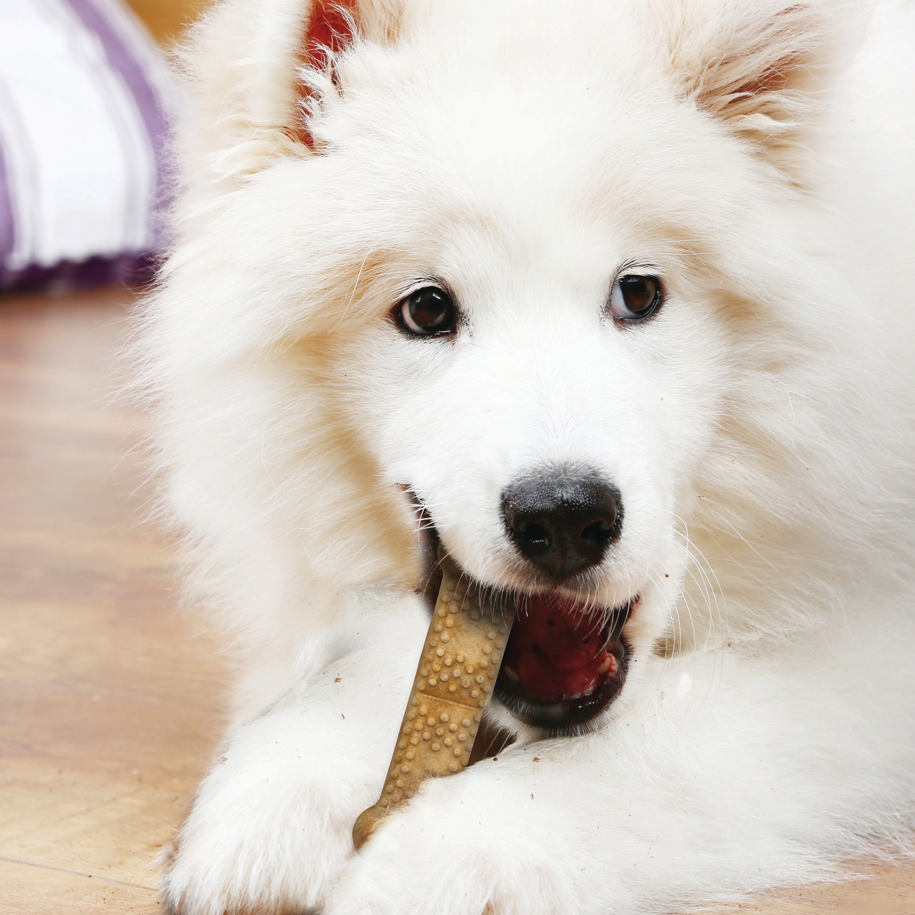 Nylabone Natural Nubz Chicken Dog Treats Chicken, 1ea/Large  30 Lbs. 12 ct