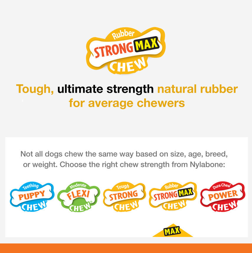 Nylabone Flavor Frenzy Strong Chew Dog Toy Bacon Cheeseburger, 1ea/Medium/Wolf  Up To 35 Lbs. 1 ct