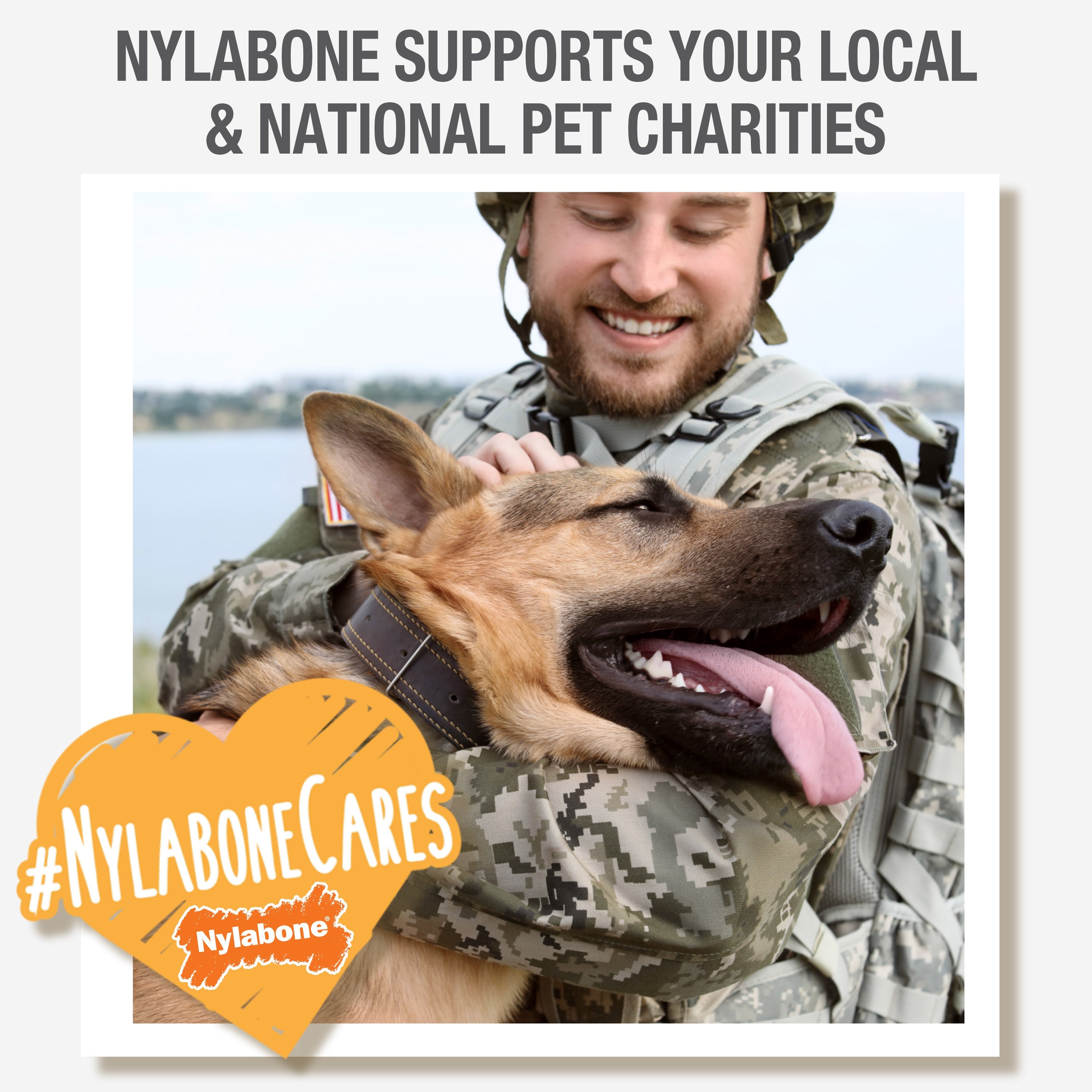 Nylabone Flavor Frenzy Power Chew Durable Dog Chew Toy Philly Cheesesteak, 1ea/Medium/Wolf  Up To 35 Lbs. 1 ct