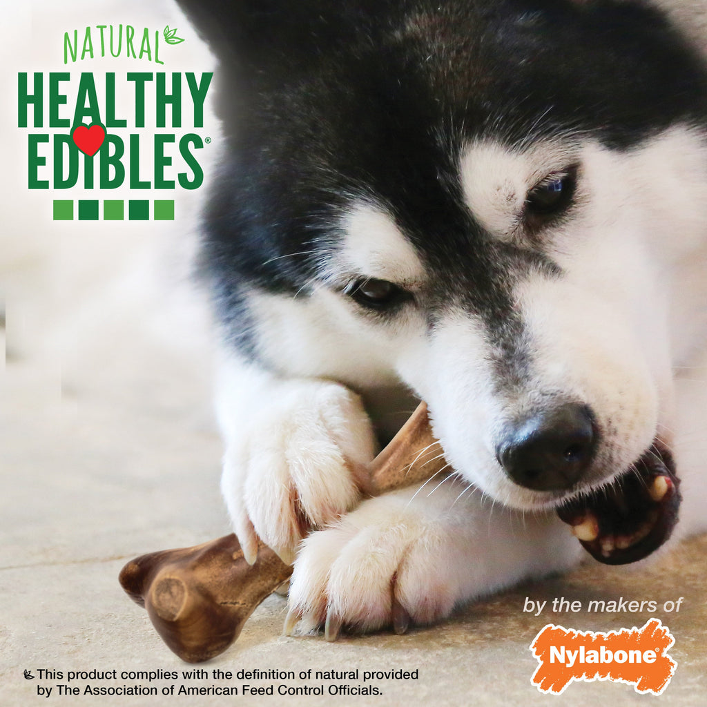 Nylabone Healthy Edibles WILD AllNatural Long Lasting Chew Treats Venison, 1ea/Large/Giant  Up To 50 Lbs. 1 ct