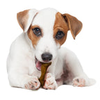 Nylabone Healthy Edibles WILD AllNatural Long Lasting Chew Treats Bison, 1ea/SMall/Regular  Up To 25 Ibs. 8 ct