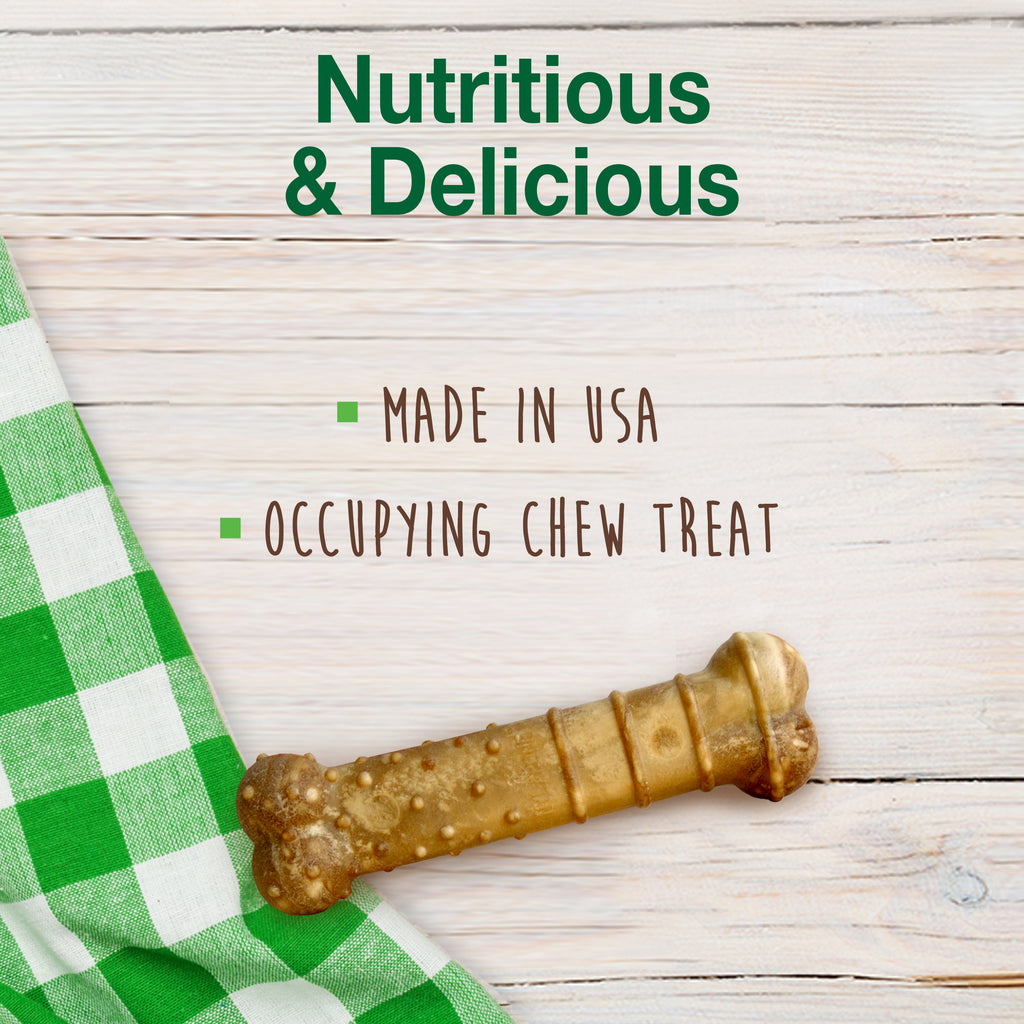 Nylabone Healthy Edibles AllNatural Long Lasting Chew Treats Turkey  Apple, 1ea/SMall/Regular  Up To 25 Ibs. 4 ct