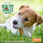 Nylabone Healthy Edibles AllNatural Long Lasting Turkey  Apple Dog Chew Treats Turkey  Apple, SMall/Regular  Up To 25 Ibs. 4 ct