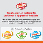 Nylabone Power Chew Marrow Bone Alternative Dog Chew Toy Beef, 1ea/Large/Giant  Up To 50 Lbs. 1 ct