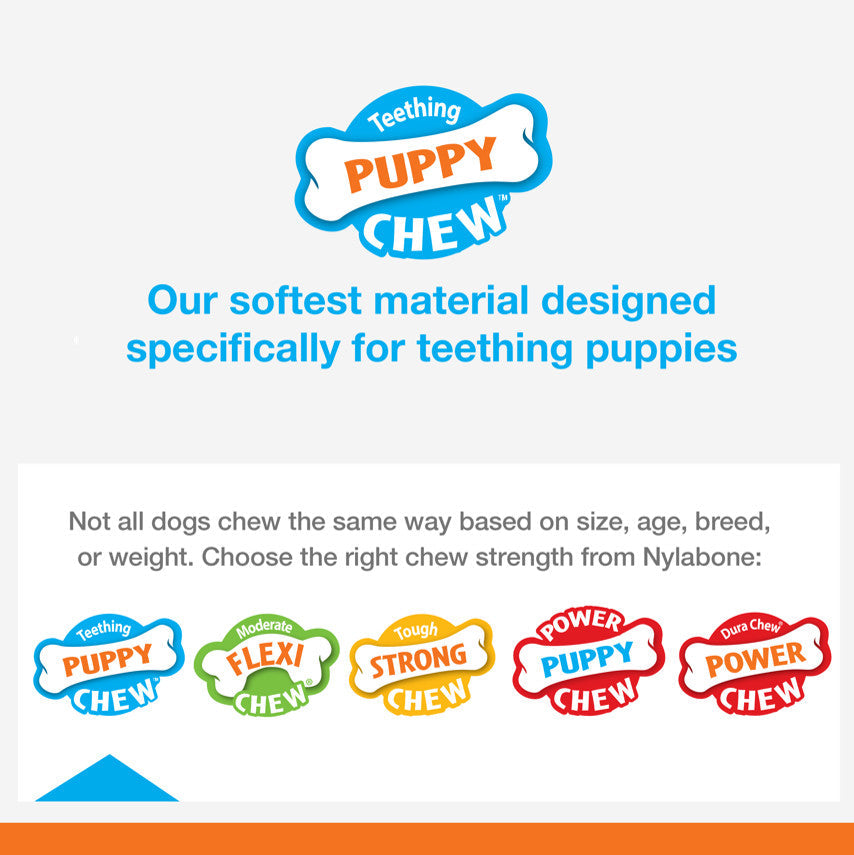 Nylabone Puppy Chew Toy Teething Toy for Puppies 1ea/XS/Petite  Up To 15 Lbs. 1 ct