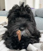 Nylabone Flavor Frenzy Power Chew Triple Pack Chili Cheese Dog, Popcorn  Cherry, 1ea/SMall/Regular  Up To 25 Ibs. 3 ct