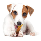 Nylabone Flavor Frenzy Power Chew Triple Pack Chili Cheese Dog, Popcorn  Cherry, 1ea/SMall/Regular  Up To 25 Ibs. 3 ct
