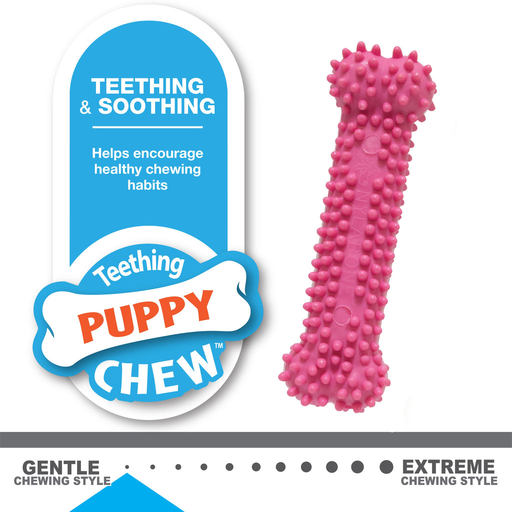 Nylabone Puppy Chew Variety Toy  Treat Triple Pack Chicken  Lamb Starter Kit, 1ea/SMall/Regular  Up To 25 Ibs.