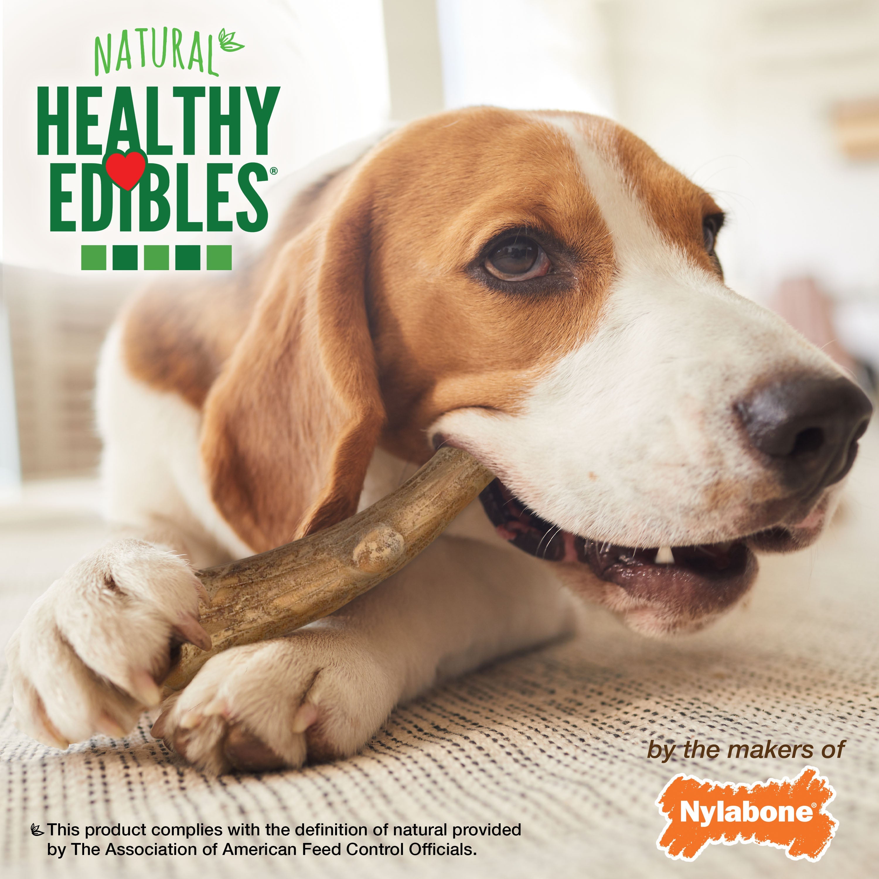 Nylabone Healthy Edibles WILD AllNatural Long Lasting Antler Chew Treats Venison, 1ea/Large/Giant  Up To 50 Lbs. 10 ct