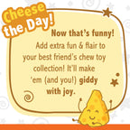 Nylabone Power Chew Cheese Dog Toy Cheese, 1ea/Medium/Wolf  Up To 35 Lbs. 1 ct