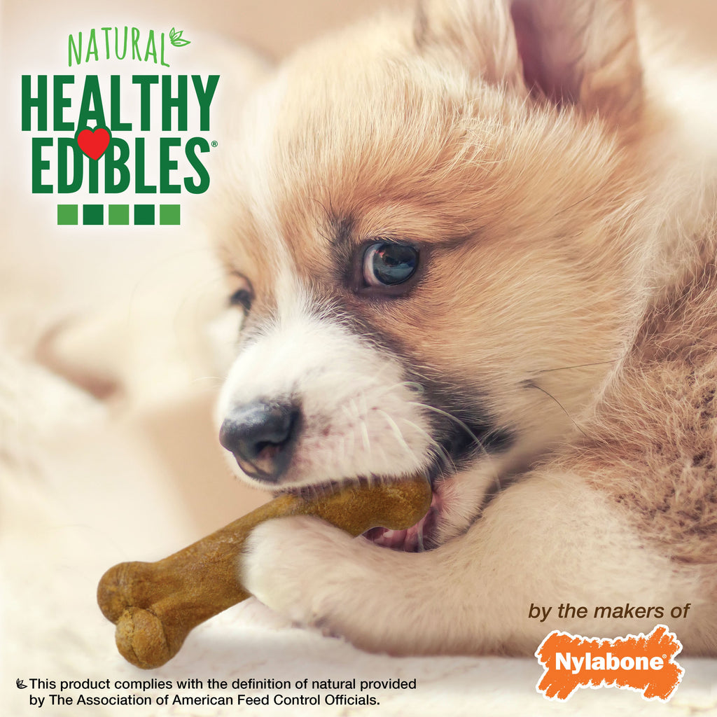 Nylabone Healthy Edibles AllNatural Long Lasting Puppy Chew Treats Roast Beef, Turkey, Apple, Bacon, 1ea/XS/Petite  Up To 15 Lbs. 3 ct