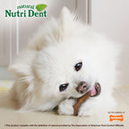 Nylabone Nutri Dent Filet Mignon Dog Dental Chews Filet Mignon, 1ea/Mini  5 Lbs. To 10 Lbs. 78 ct
