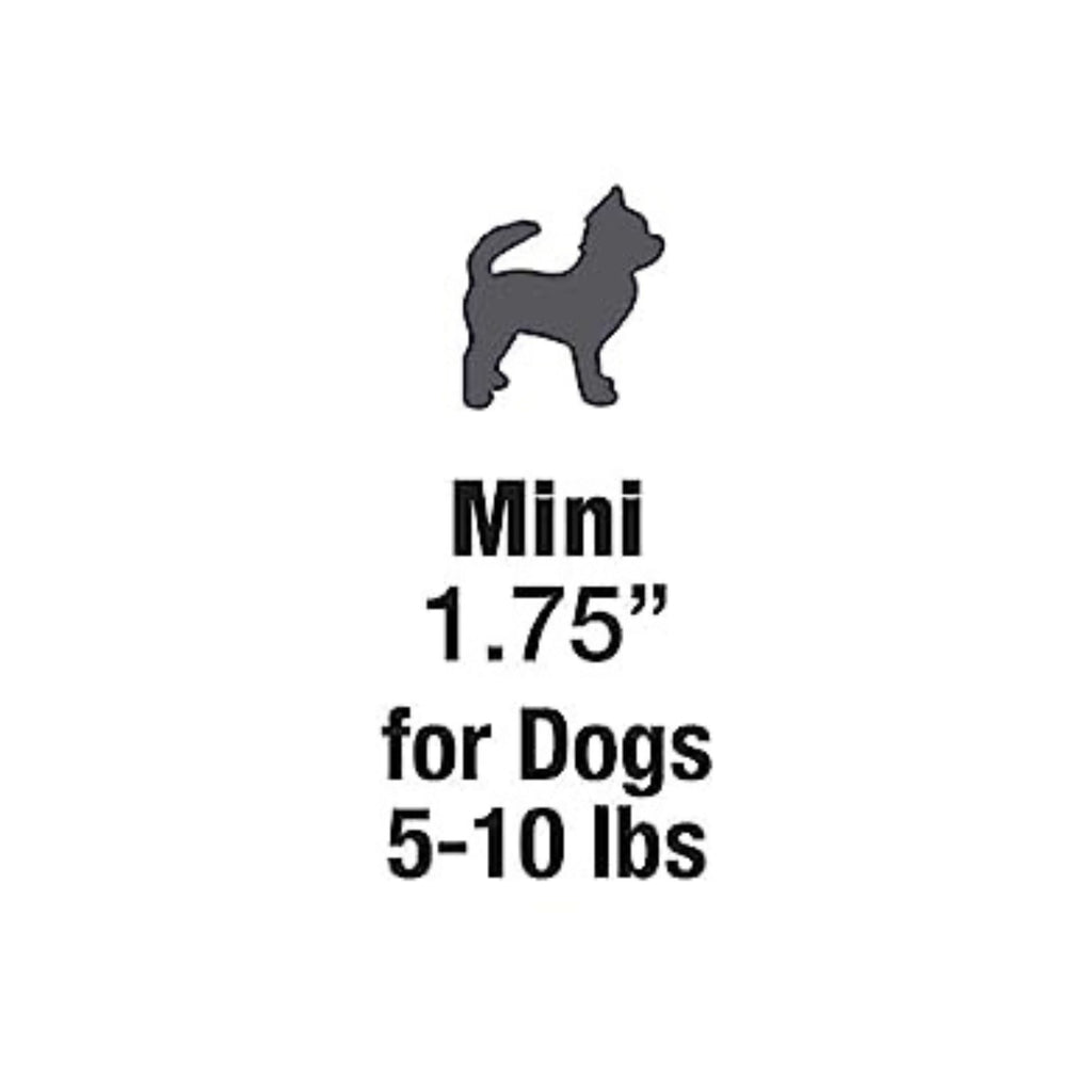Nylabone Nutri Dent Filet Mignon Dog Dental Chews Filet Mignon, 1ea/Mini  5 Lbs. To 10 Lbs. 78 ct