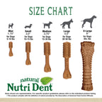 Nylabone Nutri Dent Filet Mignon Dog Dental Chews Filet Mignon Medium - 15 Lbs. To 30 lb  (20 ct)