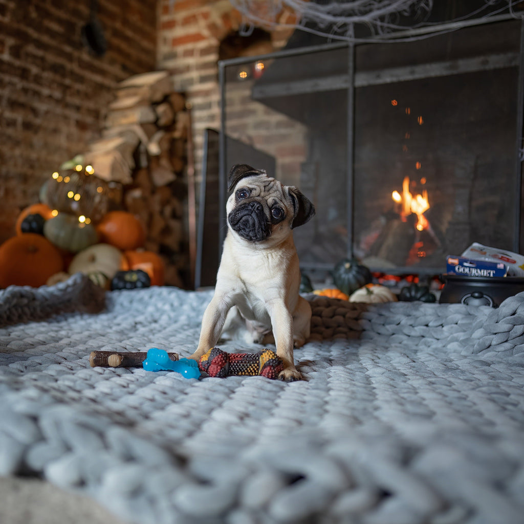 Nylabone Strong Chew Real Wood Dog Stick Toy 1ea/Medium/Wolf  Up To 35 Lbs. 1 ct